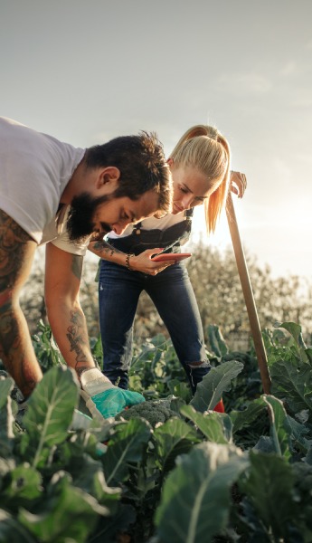 man and woman looking at crops