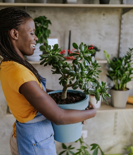 woman smiling holding large plant in pot